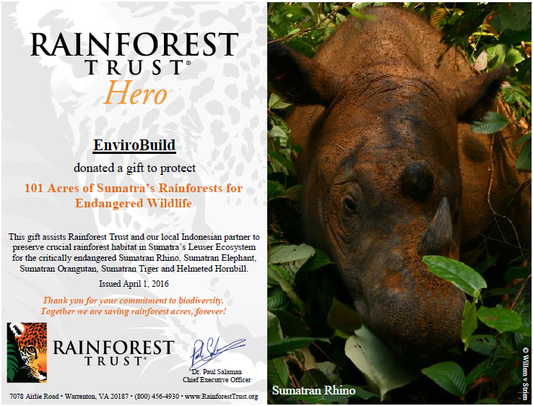 Buying 101 Acres of Sumatra’s Rainforest- The Last Stand of The Sumatran Rhino